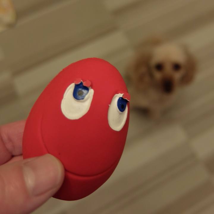 3aa1dab9 5610 4fd5 a965 d5462d0511e4 1520639636832