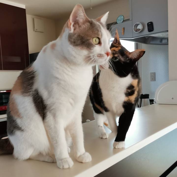 3aa1f466 a24d 4de6 afb6 24a711593fbd 1684296298823