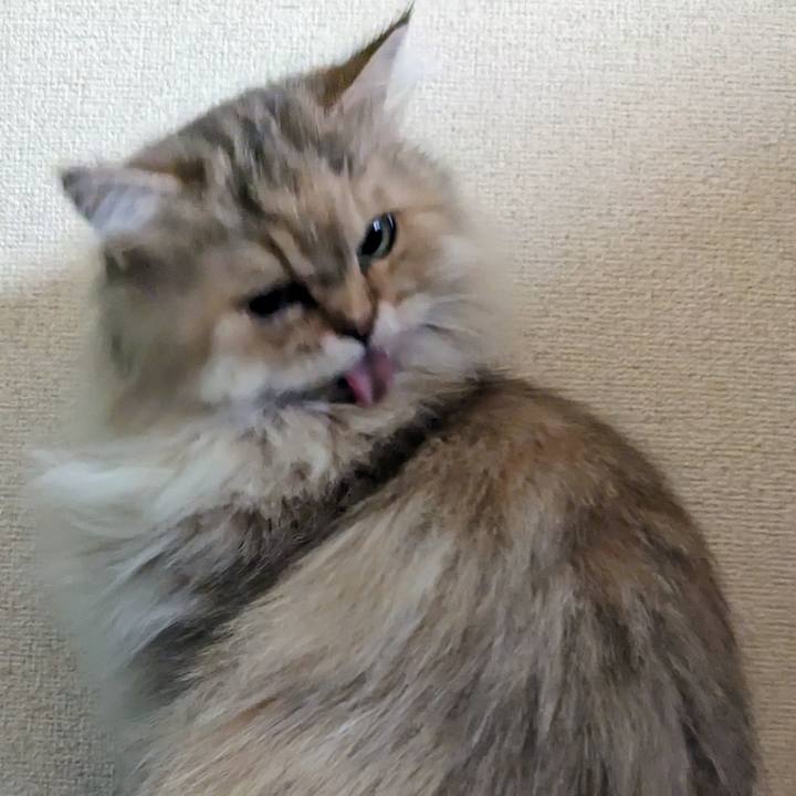 3aa2139b db27 46f2 825d 1e4e968058bb 1697467127541