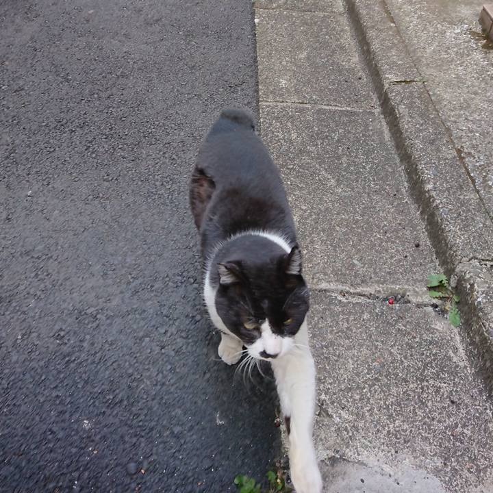 3aa21f71 f760 4340 bfb0 b22a0fb299f6 1646537387813