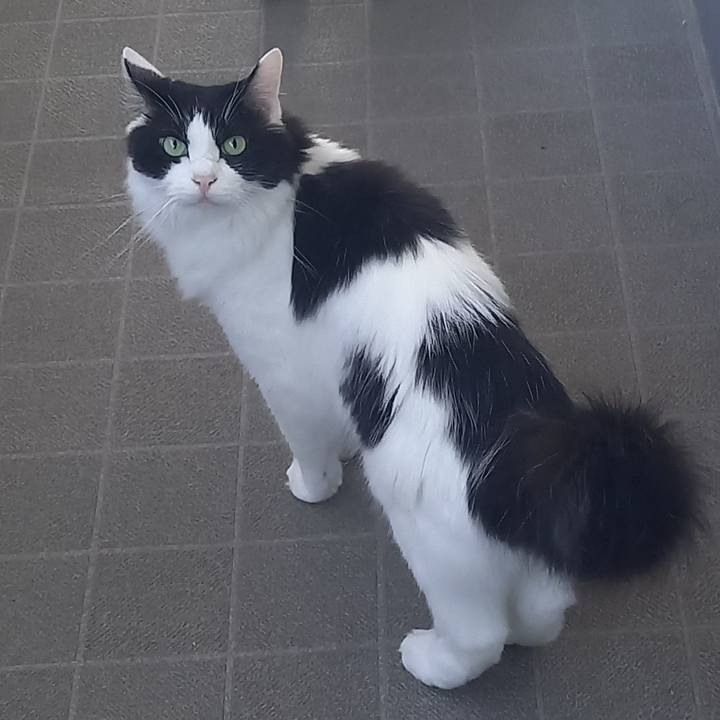 3aa22202 47b6 4e5d abfd ae5c8d1b9db8 1694590995907