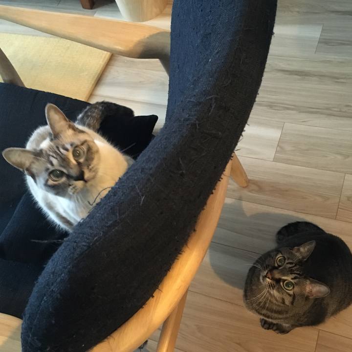 3aa2419e 90be 4844 b829 1d9cccb6b7cc 1578190354419