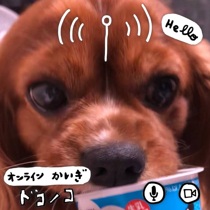 3aa2431c f747 4f69 995c 682c4d1543c2 1591271210213