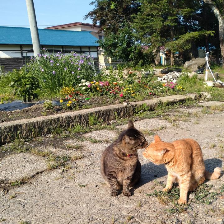 3aa250a1 cd99 40c1 831f 84a695154a08 1687042049106