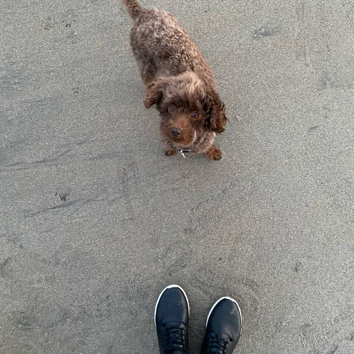 3aa264f9 c861 4308 ae9d 486e0ac26875 1626126557605