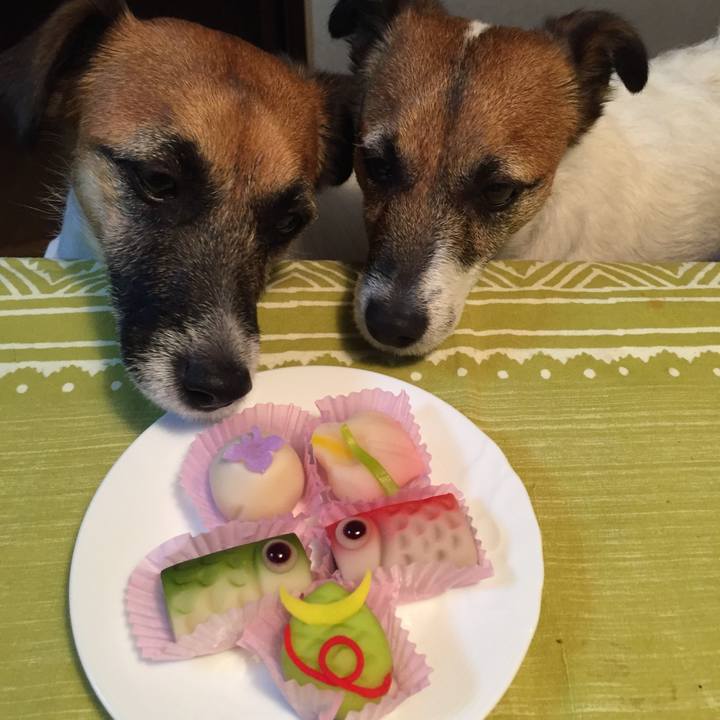 3aa2cc84 f586 48ce b417 050d67327373 1557055469729