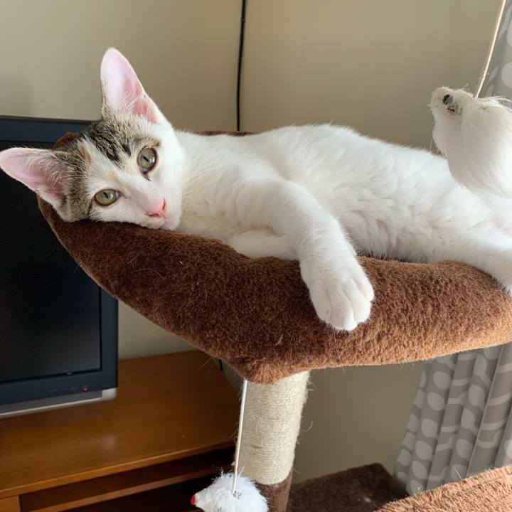 3aa2cdc4 9592 429e a386 35572269b51a 1597209523870