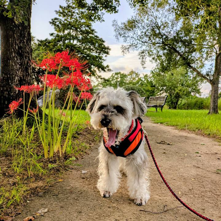 3aa2d0bb 3f46 4b51 a296 fde5f50bc6fc 1759048130884