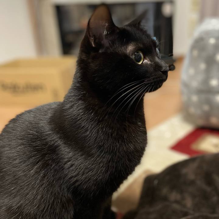 3aa303bd c4e3 451e 9e10 1314faa84c3d 1638620406258