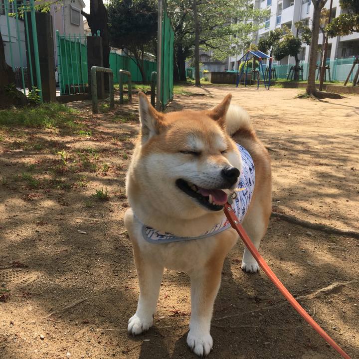 3aa32b4f 37c0 4889 bbc4 c04b55be2102 1556002023088