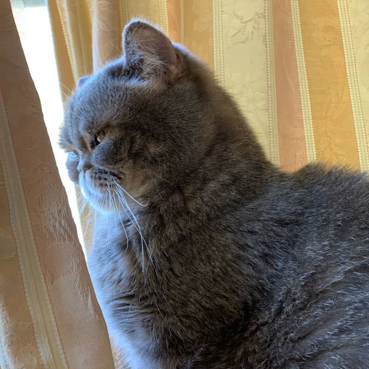 3aa32f1d 3feb 432b ac96 85115bb0d855 1548209700722