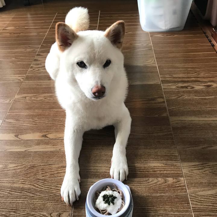 3aa3570a e7d5 4573 b36c 93ef4c39a5fa 1527831559460