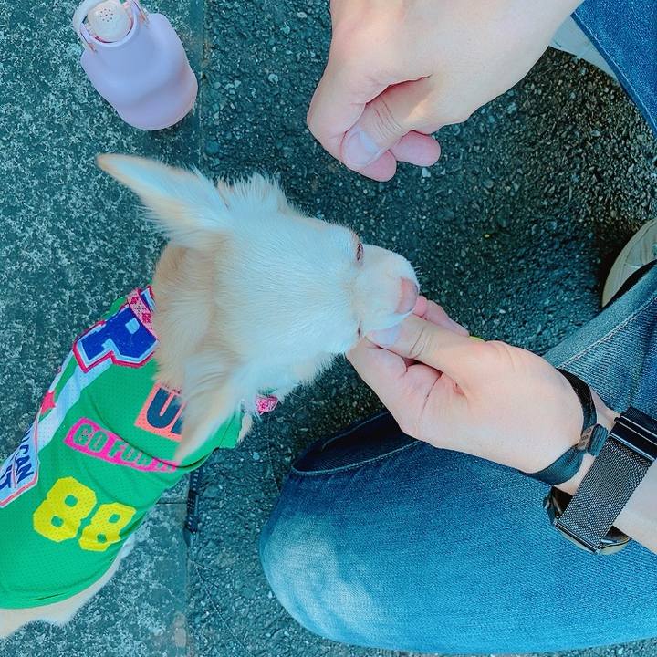 3aa370ea 1d9e 4a1d 9259 5ab9875ea461 1632133991471