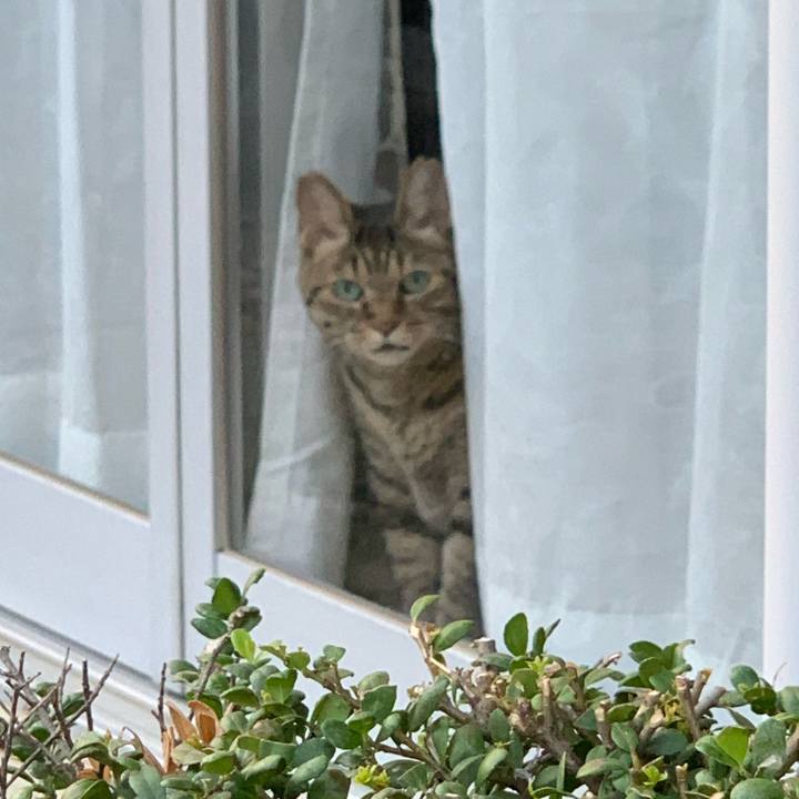 3aa38ce6 11bf 4159 a8df 6afaed6a237e 1598001754855