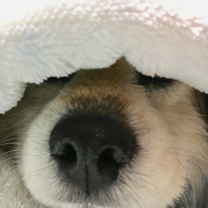 3aa39b3e abd3 403e 922f 32fd9b87dee7 1576405362140