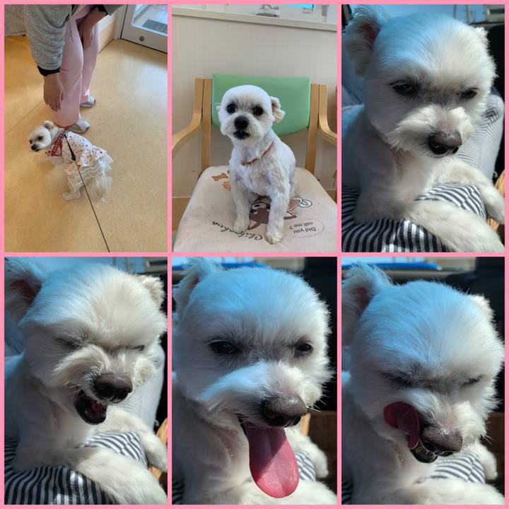 3aa3af0b 15e2 4c69 8eb8 f4d026be7cbf 1648364166327