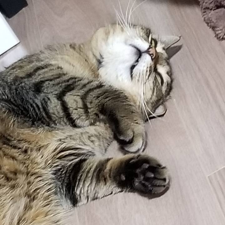 3aa3cf0a ca80 48f6 aedb f1ec5fc007e9 1608294002245