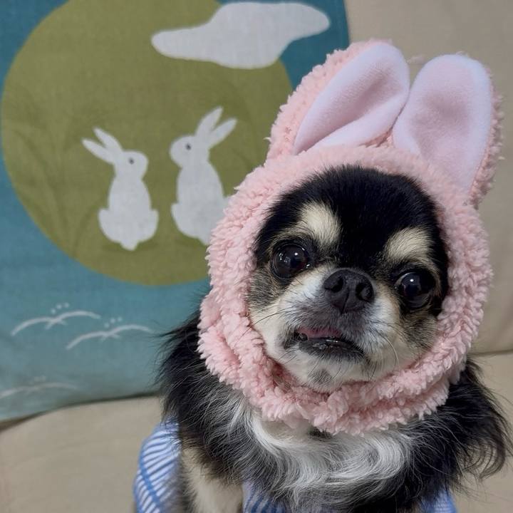 3aa3e697 6d40 4b5b 88f2 261a39119ac5 1759738294278