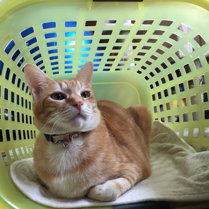 3aa42a37 0332 49ee af87 7e33cb0d5da2 1548476001818