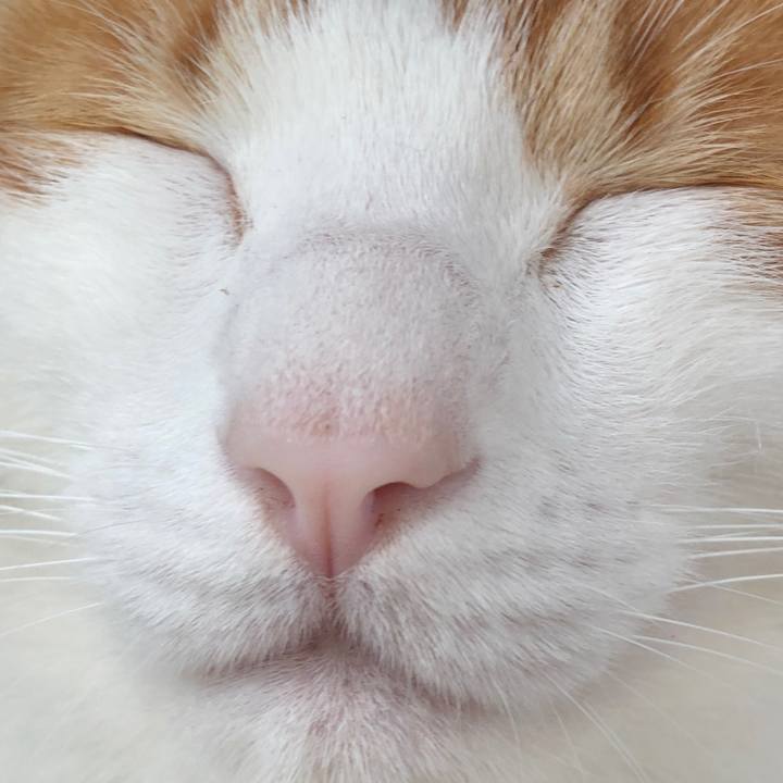 3aa45f4d 8ea6 49ca b738 0d95bdc932dc 1538189204632