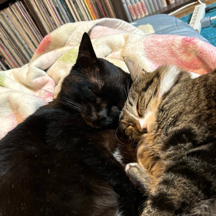 3aa46db7 9ee0 46d6 8c9f f60520f8df19 1735208338792