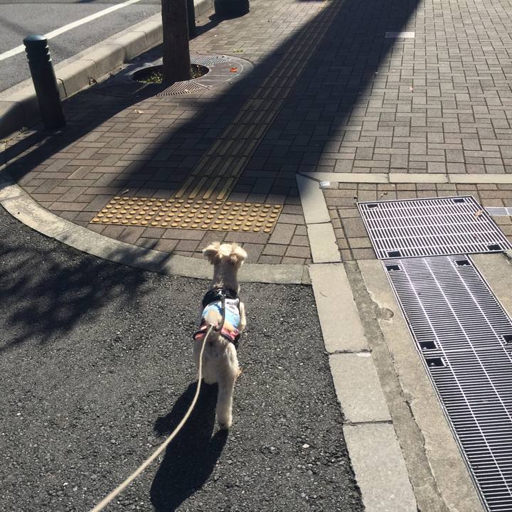 3aa47545 f38f 4013 bae4 a8810009ea63 1542196380209