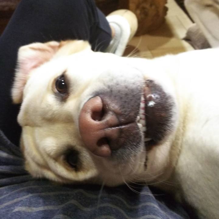 3aa47fbe 00ef 4bc4 a648 47fe8cd90cd2 1543395687266