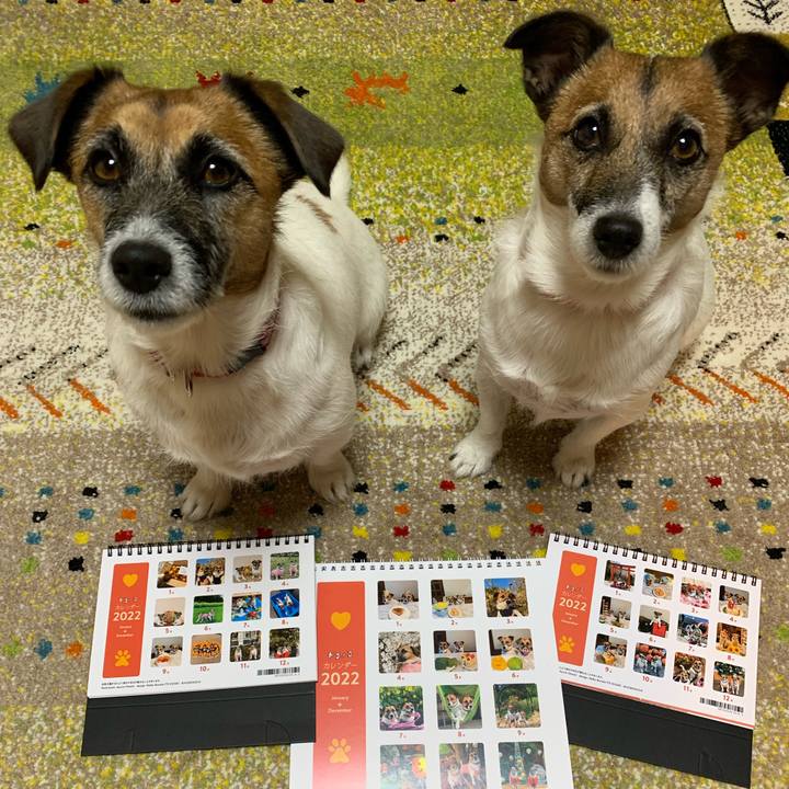 3aa48f3b c42a 426f 9f1f 3a825845711c 1637240500060