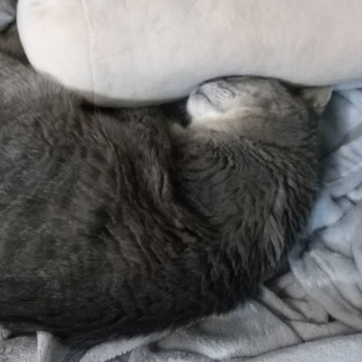 3aa4c24e 19ba 41f9 9347 7b7445bb2fa3 1697459837611