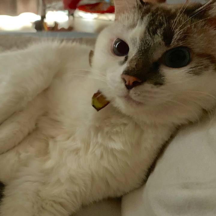 3aa515be 2716 4461 9928 251c348955e7 1567819736517