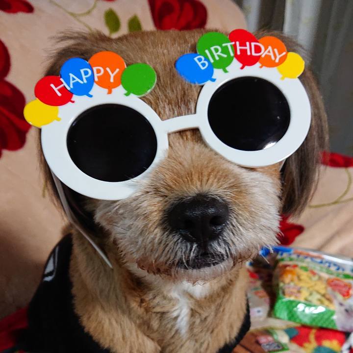 3aa52b84 25d5 43e9 aac8 8f70a3d8b6d3 1545383707854