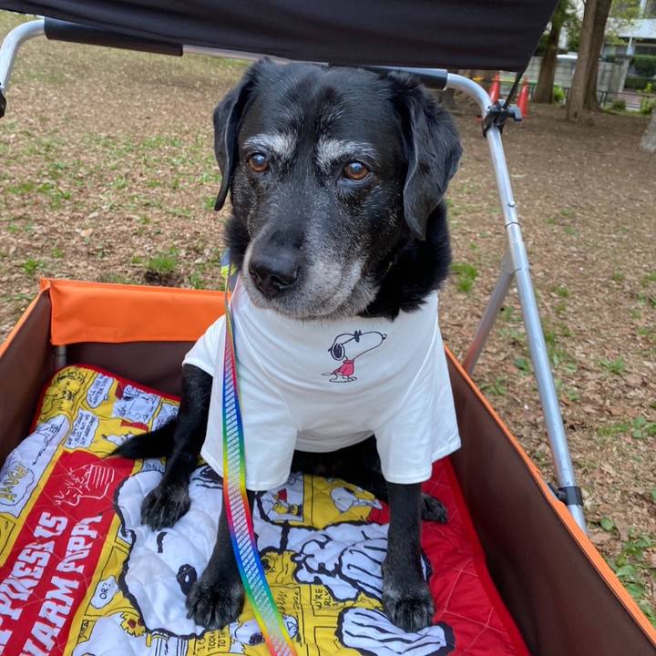 3aa533fc 2b4c 4aca 8218 de9c73a46128 1680608422399