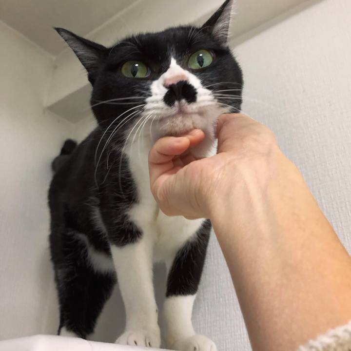 3aa5391e e888 427a 9968 d7ed76261692 1573138608843