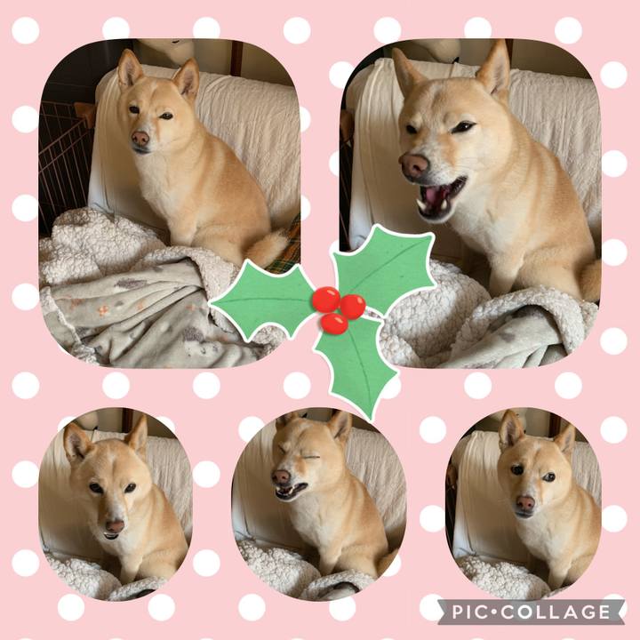 3aa546bf 4307 47eb 9b39 9d4ca63f7377 1639184231183