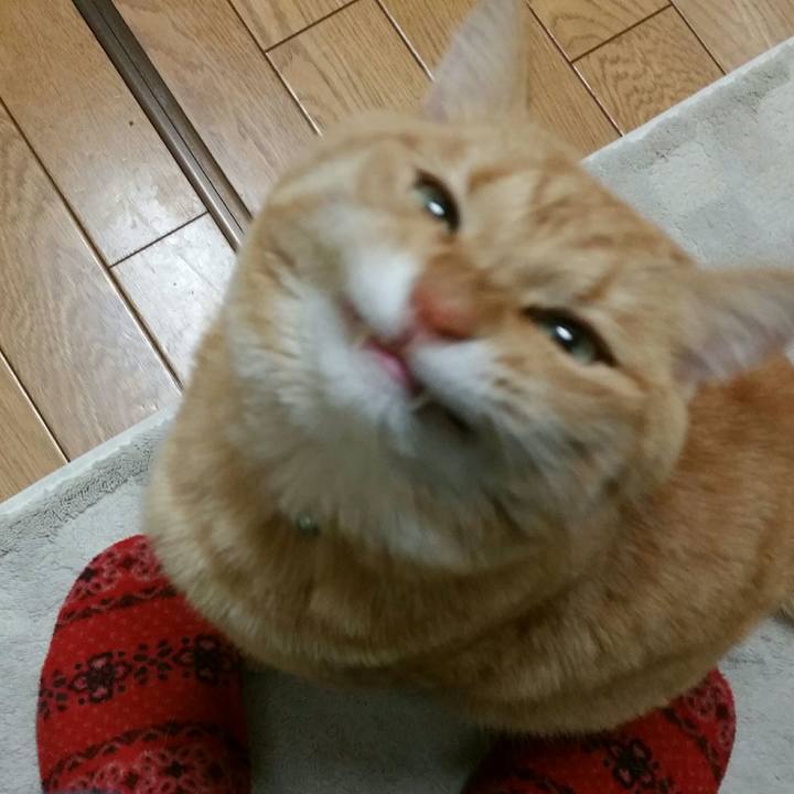 3aa5626e 0586 48ed 9dbd c4b40788845e 1514193013452