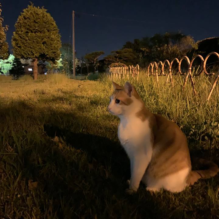 3aa5836b f086 43bf be12 37df3b7ec851 1571305282804