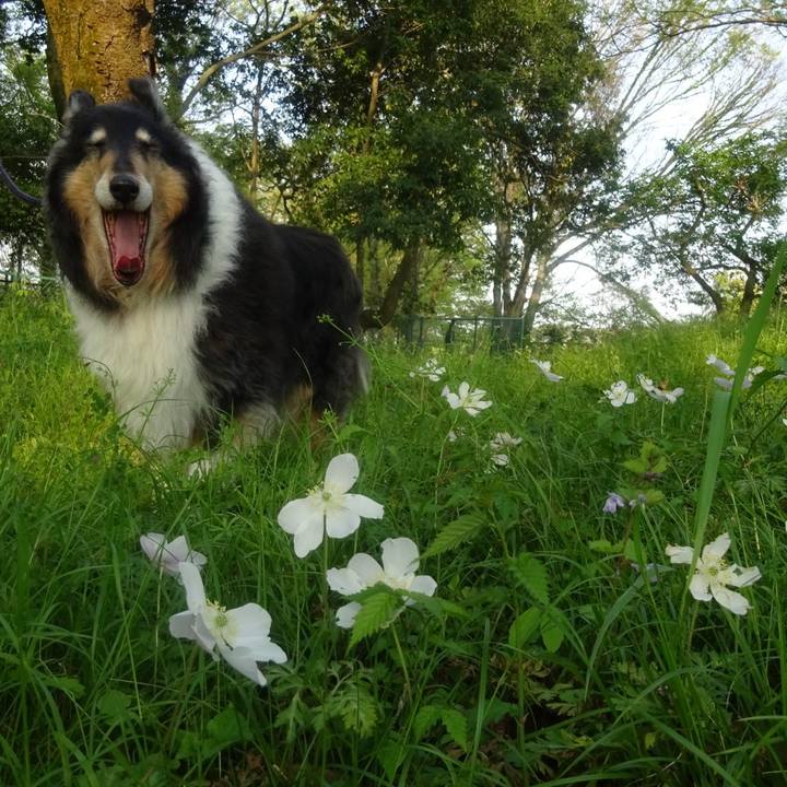 3aa59358 f9a2 4225 b682 037eb0182fe0 1588215405144