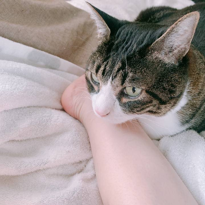 3aa59aab 7be1 4c39 9c21 45b2c24beda5 1648626403352