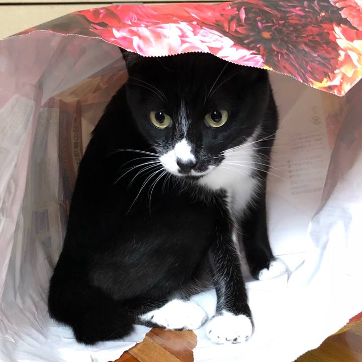 3aa59e22 43e5 4afd 8f17 bae5d0472fa0 1599017303214