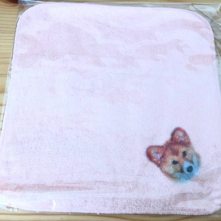 3aa5ab10 255f 49dc a4dd 7169bececc76 1567573816672