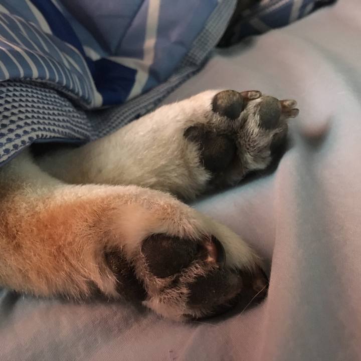 3aa5de4d e90d 4715 a743 e140ad8b3865 1560553056116