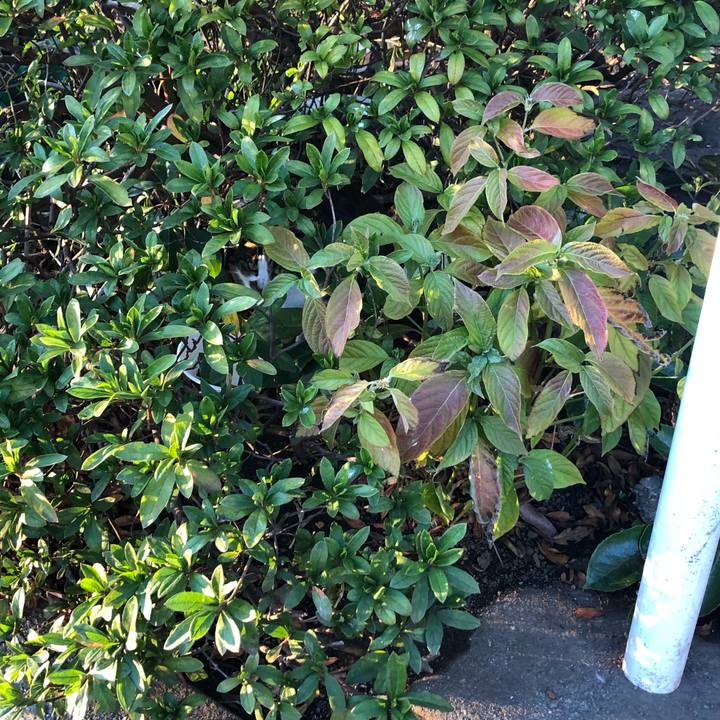 3aa6063b 0a9b 4924 a879 d9ecdc0160f2 1580977651547