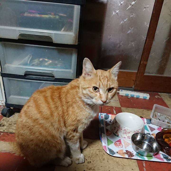 3aa627b0 03b2 4407 8afc b02d31500b92 1589576219375