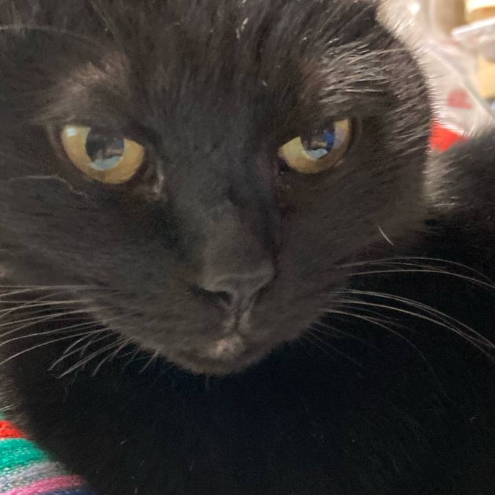 3aa6359c 3657 4da0 ab27 b8872c933639 1699056833947