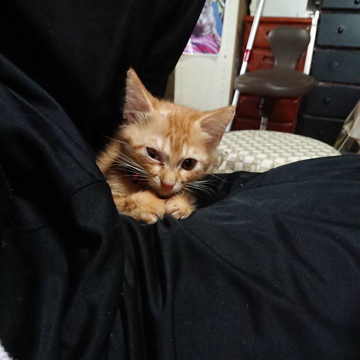 3aa64a65 cd01 4c47 847e 43d3136e180e 1629076697399