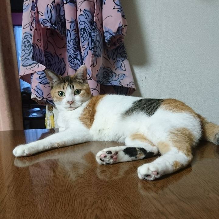 3aa69d58 362a 4159 b53c 5e7e61c62213 1514790207875