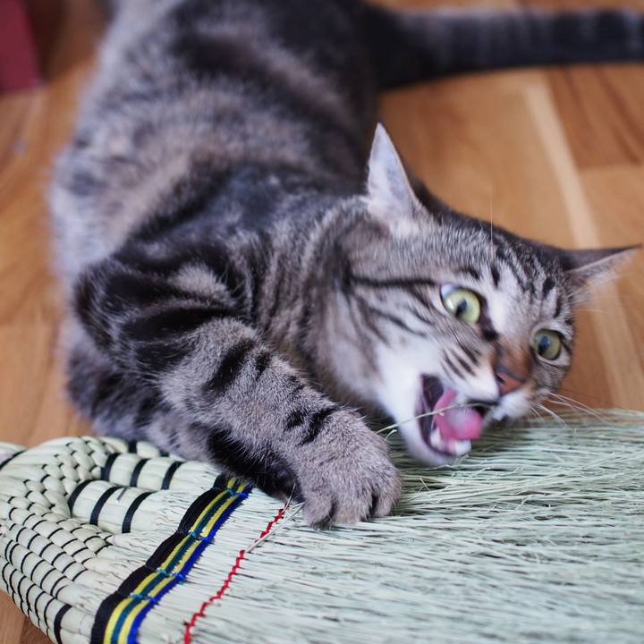 3aa6b50b 1eea 430c be0f 2ccc7f07f652 1562298941597