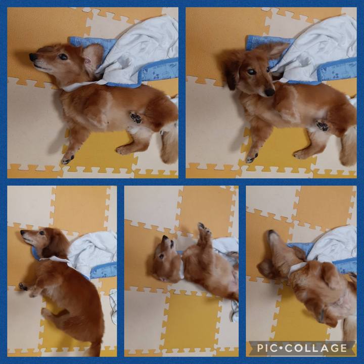 3aa6bcaf 0457 4611 a3cc e2280b7fa205 1660742171076