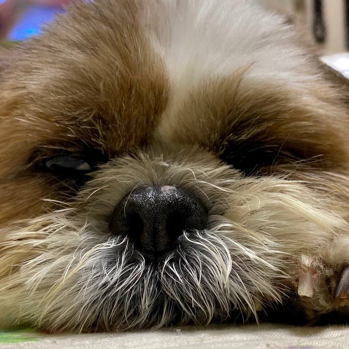 3aa6e668 7003 4635 8e69 0456f4985cc2 1593258008658