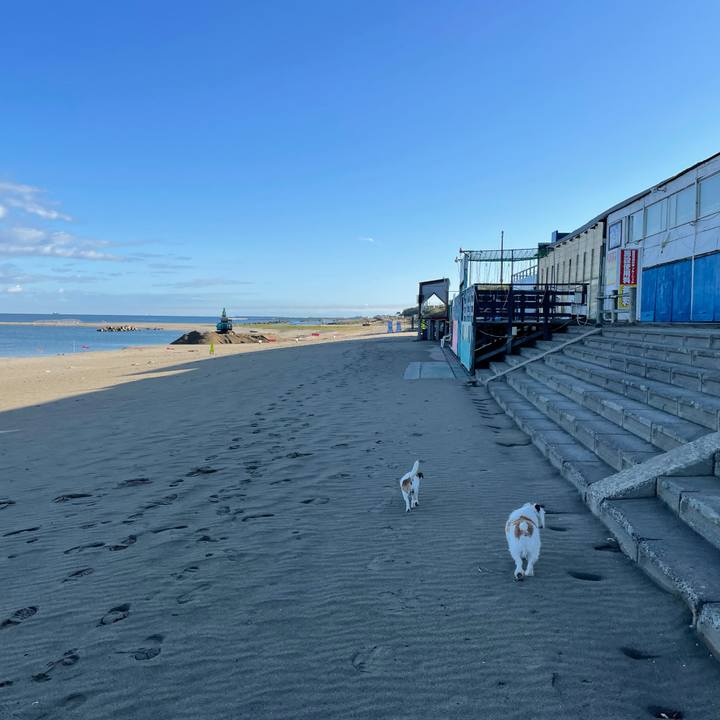 3aa702fb 06ea 4c98 8e0d 9bc5b9b5e33c 1634169172760